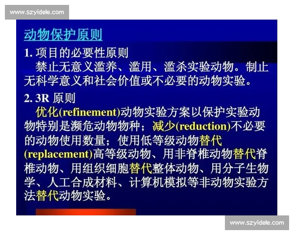 以斗犬比赛为核心探讨动物福利与社会伦理冲突的综合性研究深度分析